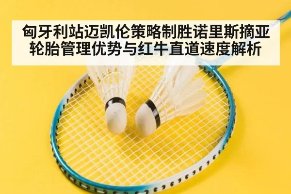 匈牙利站迈凯伦策略制胜诺里斯摘亚 轮胎管理优势与红牛直道速度解析