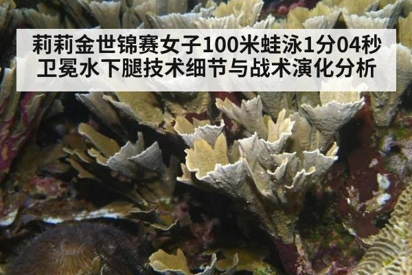 莉莉金世锦赛女子100米蛙泳1分04秒卫冕水下腿技术细节与战术演化分析