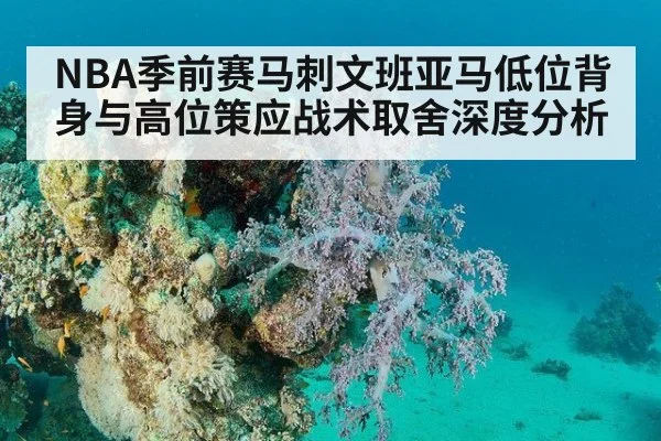 NBA季前赛马刺文班亚马低位背身与高位策应战术取舍深度分析